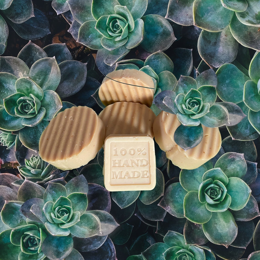 Mane Tamer shampoo bars